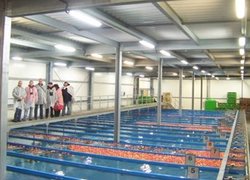 Сортування яблук у водному потоці